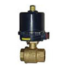 Electric Actuators