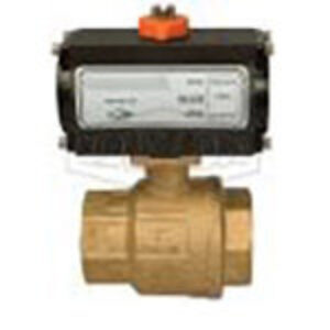 Pneumatic Actuators