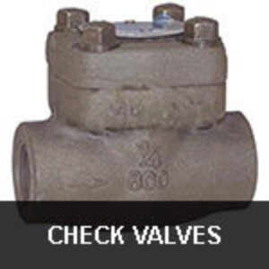 Forged Steel Check Valves - 1-1/2"