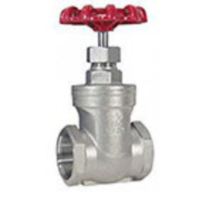 Stainless Steel Gate Valves